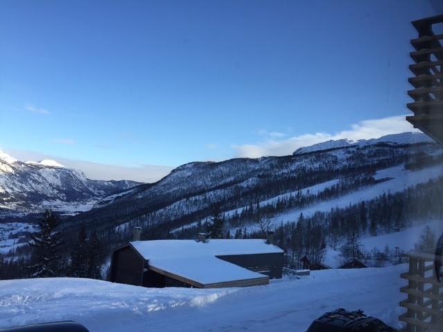 Skarsnuten Panorama 14 Hemsedal Exterior photo